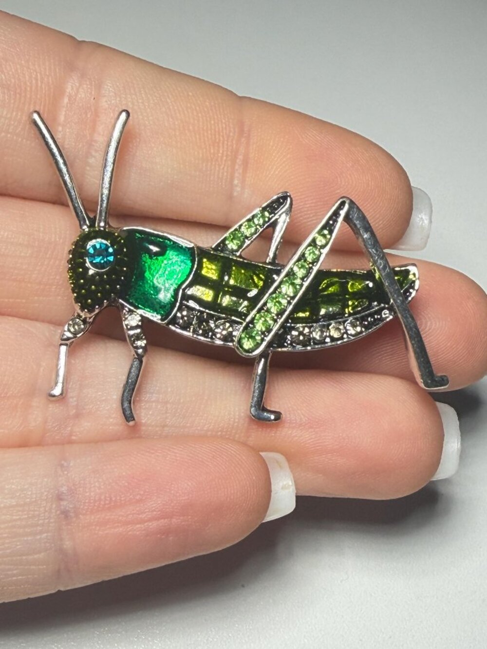 Cricket Brooch Green Resin Inlay Modern 1.75 inches
